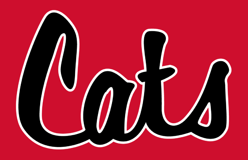 Davidson Wildcats 2021-Pres Helmet Logo diy iron on heat transfer